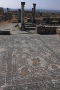 Volubilis mosaic