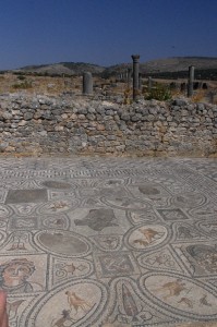 Volubilis mosaic