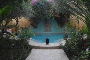 IMGP5440 Riad Norma