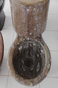 Fossil tolet