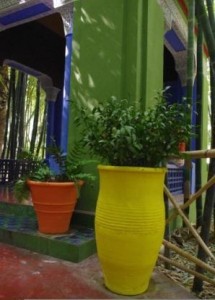 Jardin Marjorelle