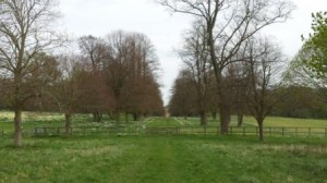 Grand approach