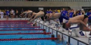 Racing dive ducklings