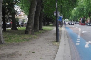 CS2 Anyone for a ride through the trees? There's room.