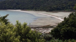 Te Matuku Bay