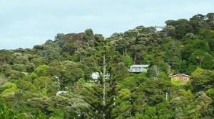My new view across the valley