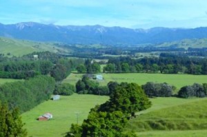 Wakarara Valley inder the Ruahine Ranges