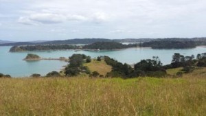 Kennedy Point from Te Whau