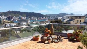 View of Wellington from the balcony where I stayed