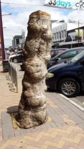 Plane tree stump on Broadway