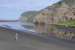 Bethells Beach