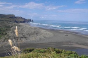 Bethells Beach