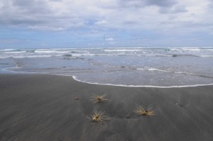 Karekare beach