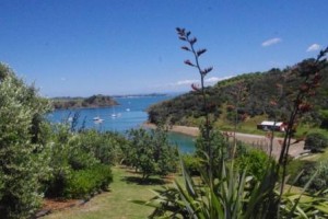 Delamore - view of Matiatia bay