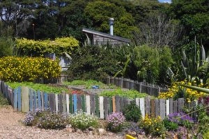 Uma Rapiti vegetable garden