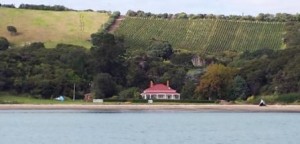 O'Brian House on Te Whau peninsular famed for vineyards & Olive Oil