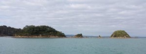 The Almost Islands at the end of Te Whau