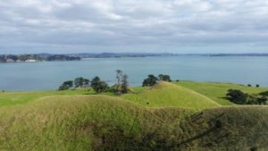 Seductive curves looking at Auckland