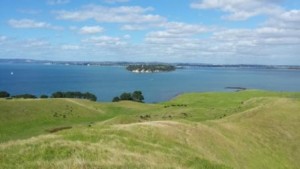 Musick Point - Tamaki river