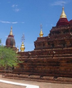 Dhamma-ya-za-ka