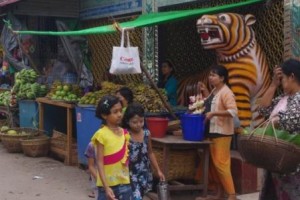 Fruit stall in constant danger from marauding monkeys