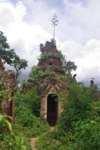 Reclaimed by the forest