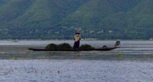 Weeding the Lake