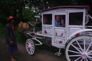 Peter's Pink Coach