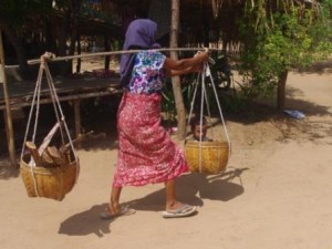 Minnathu Village baby and firewood transport