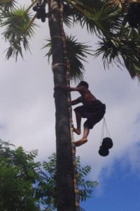 Heading for the top