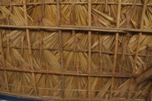 immaculate thatching with Palm leaves
