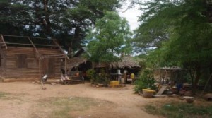 Pisa shack