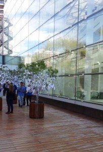 Yoko Ono tree of wishes