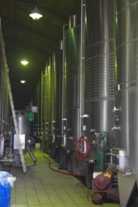 wine vats