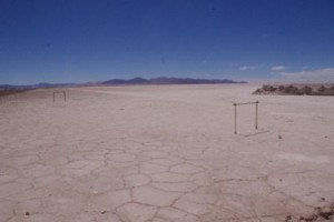 Salty football pitch